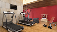Gimnasio-marques-de-riscal