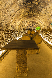 Interior-bodega-5-bodega-tritium