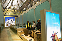 Interior-museo-toro-bodega-pagos-del-rey