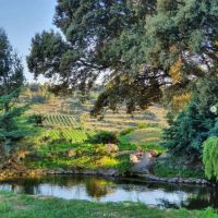 Jardin-1-bodega-tobelos