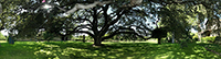 Jardin-finca-hotel-arzuaga