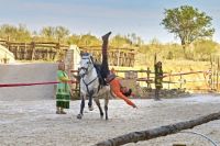Misterio-sorbaces-2-puy-du-fou-toledo