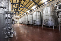 Nave-depositos-bodega-el-lagar-de-isilla