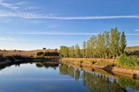 Paisaje-1-finca-pontezuela-toledo