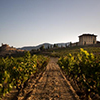 Panoramica-1-bodega-lopez-haro-la-rioja-top