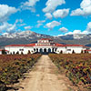 Panoramica-1-bodegas-campillo-top