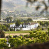 Panoramica-1-hotel-molino-arco-ronda-malaga-top