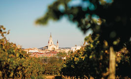 Visitas a bodegas con comida en el Penedés