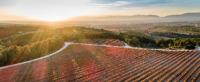 Panoramica-2-bodega-clos-montblanc