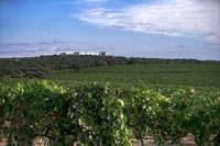 Panoramica-2-bodega-finca-antigua