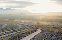 Panoramica-2-bodega-lopez-haro-la-rioja