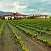 Panoramica-2-bodegas-campillo-top