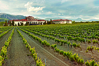 Panoramica-2-bodegas-campillo