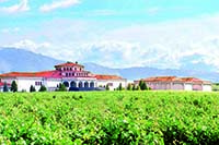 Panoramica-3-bodegas-campillo