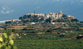 Visitas a bodegas de Laguardia