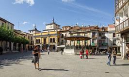 Visitas a bodegas Aranda de Duero