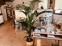 Restaurante-barbastro-005