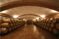 Sala-barricas-1-bodega-campo-criptana-ciudad-real