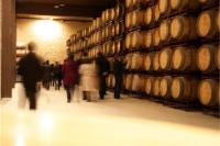 Sala-barricas-1-bodega-lopez-haro-la-rioja