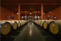 Sala-barricas-1-bodega-prada-a-tope-bierzo-leon