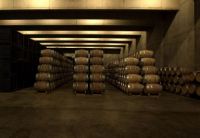 Sala-barricas-1-bodega-tobelos