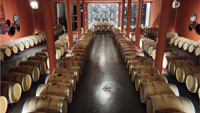 Sala-barricas-2-bodega-prada-a-tope-bierzo-leon