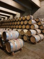 Sala-barricas-3-bodega-tobelos
