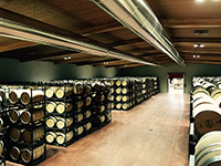 Sala-barricas-6-bodega-hotel-arzuaga