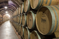 Sala-barricas-bodegas-protos