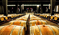 Sala-de-barricas-2-bodega-sommos