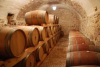 Sala-de-crianza-01-bodega-alfredo-santamaria-valladolid
