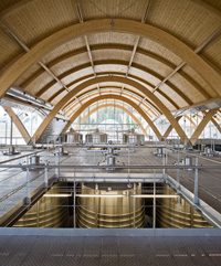 Sala-de-elaboracion-nave-diseno-bodegas-protos
