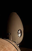 Tinajas-1-elaboracion-vino-bodega-emina-ribera-duero