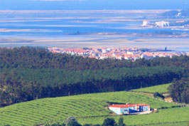 Enoturismo en Galicia