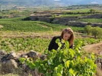 Vinedos-1-bodega-tobelos