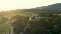 Vinedos-2-bodega-moradas-san-martin