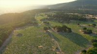 Vinedos-3-bodega-moradas-san-martin