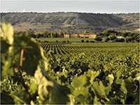 Vinedos-abadia-retuerta