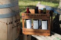 Vinos-1-bodega-moradas-san-martin