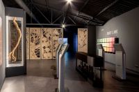 Visita-5-almazara-pontezuela