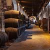 Visita-7-bodega-osborne-cadiz-top