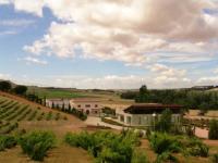 Vista-exterior-1-bodegas-piedra-toro-zamora