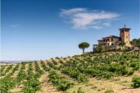 Vista-exterior-2-bodegas-piedra-toro-zamora