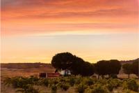 Vista-exterior-5-bodegas-piedra-toro-zamora