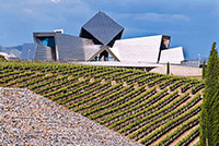 Vista-fachada-con-vinedos-bodega-sommos