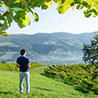 Vistas-3-bodega-valle-pas-cantabria-top